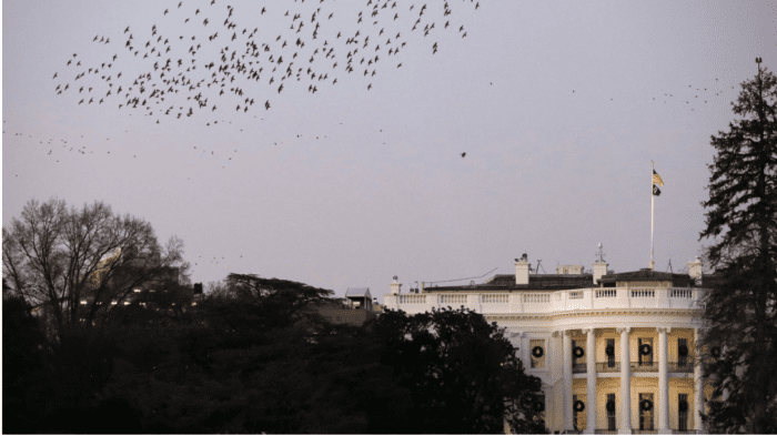 What Biden’s historic election decision means for markets